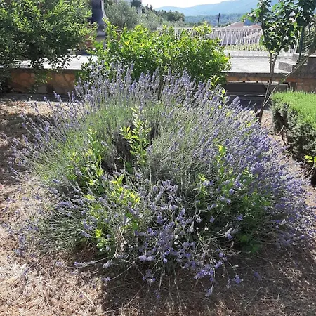 Apartment In Jelsa With Terrace, Air Conditioning, Wi-fi 4440-1 Jelsa (Hvar)