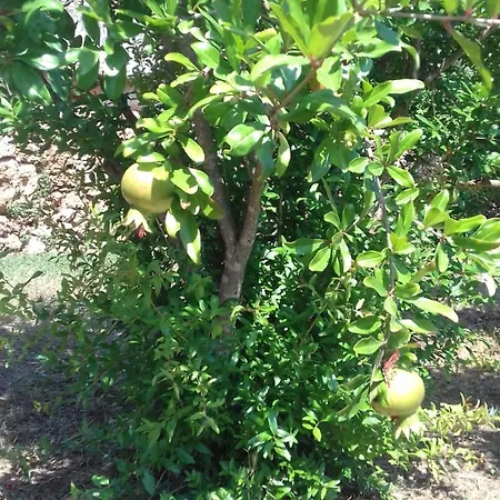 In With Terrace, Air Conditioning, Wi-fi 4440-1 アパート イェルサ